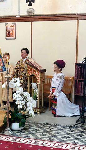 Concerte și oaspeți