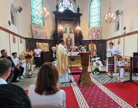 Concerte și oaspeți
